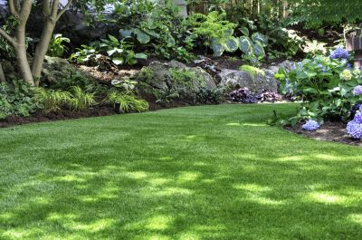 Water Conservation